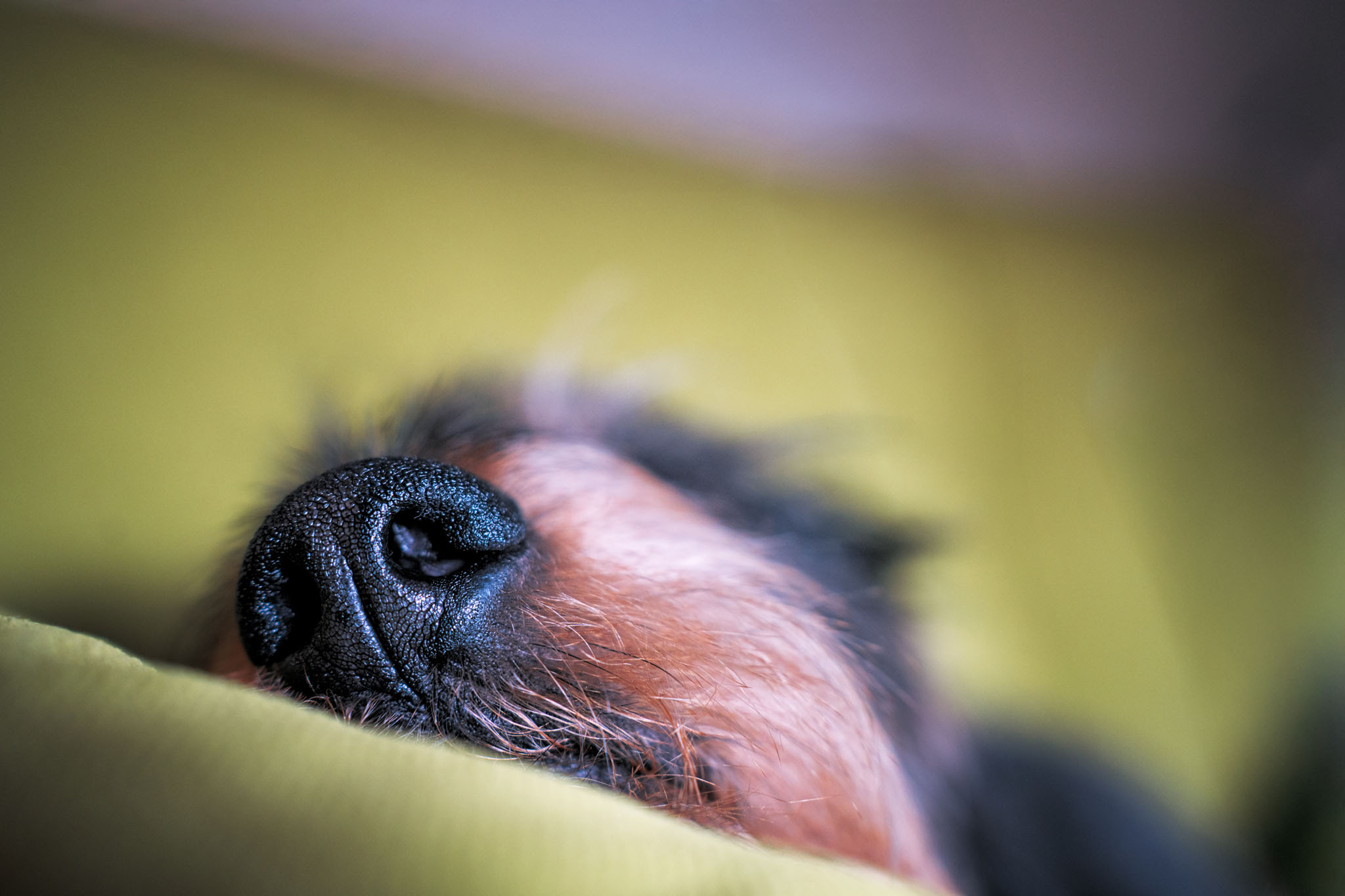 el descanso del guerrero